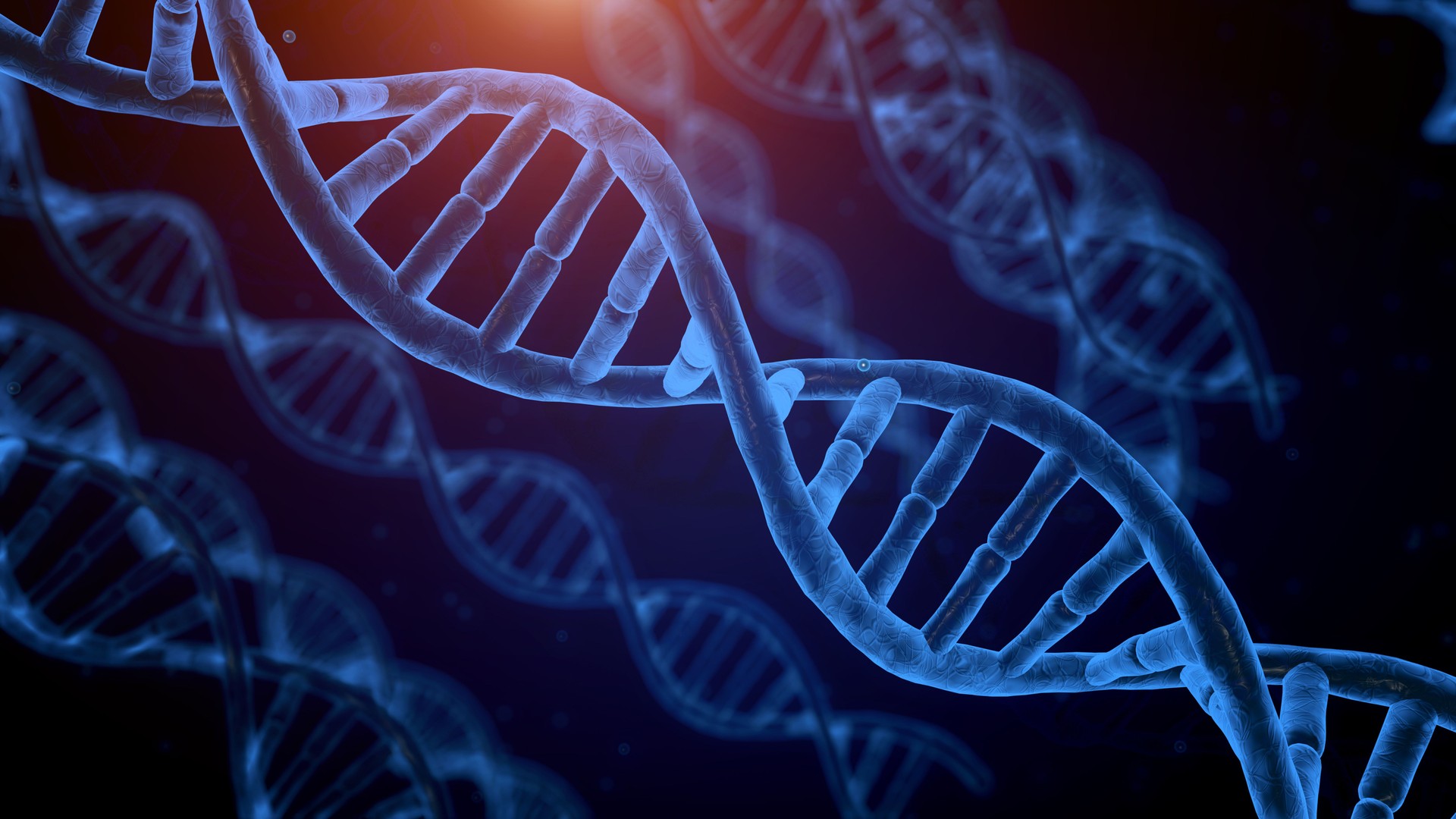 3D rendering ， Helical DNA structures